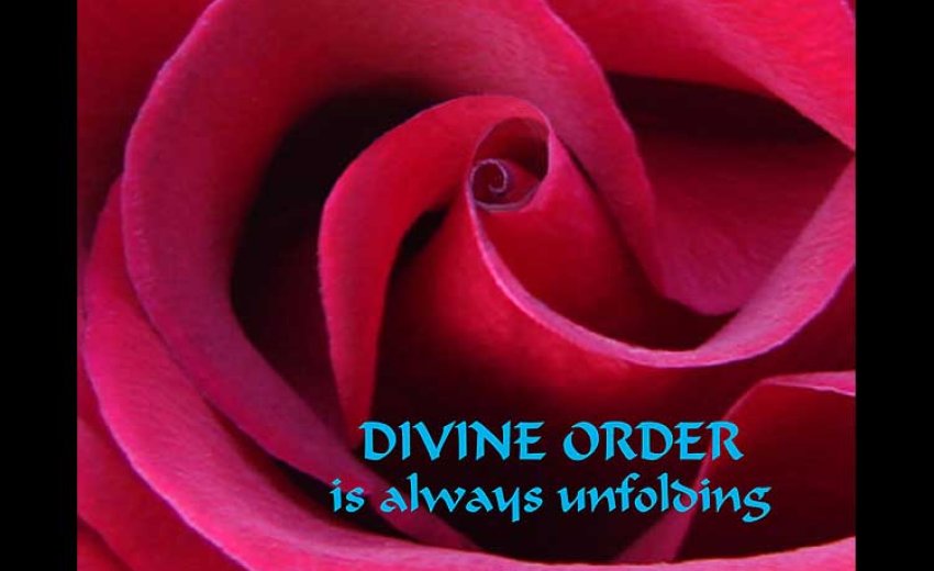 Image result for divine order