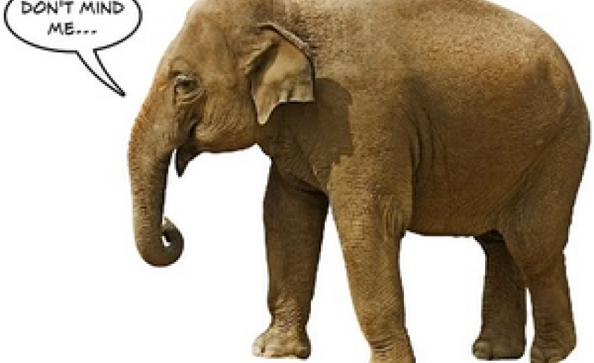 Reflections on the Elephant Mind