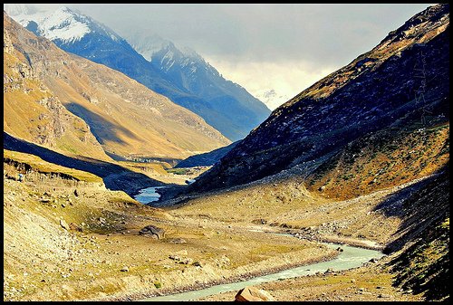 muchlightdeepshadow (187K)