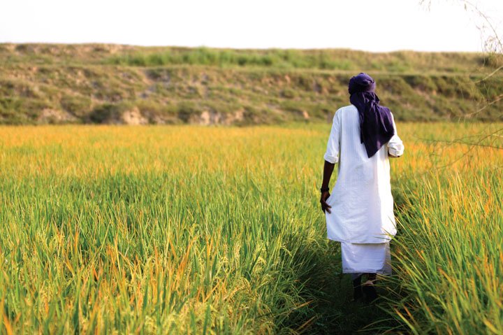 KillingFields (106K)