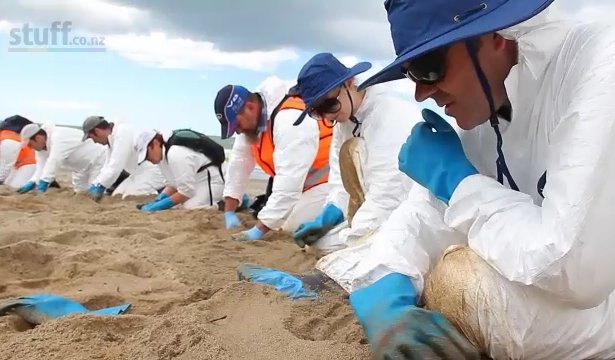BeachCleanup (167K)