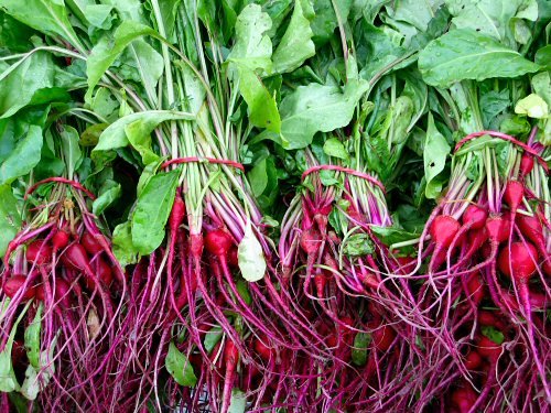 Beet-Greens-Recipe (104K)