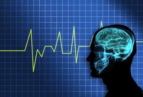 brain_brainwaves (34K)