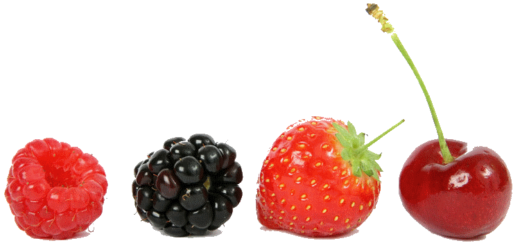 berries-1 (81K)