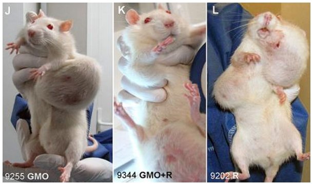 MalignantParts (144K)