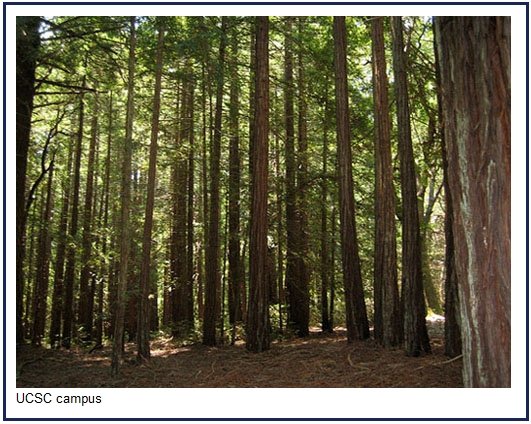 UCSCCampus (206K)