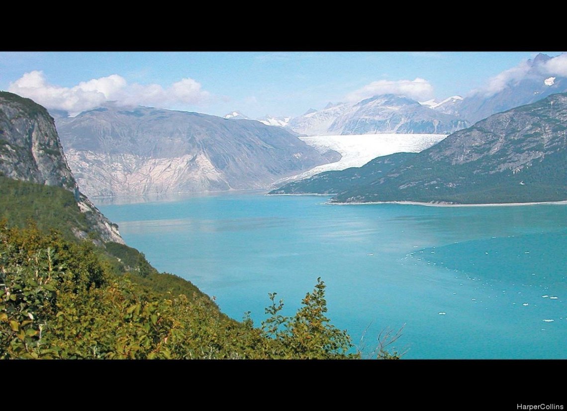 slide_233607_1114411_free (173K)