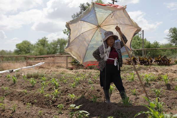 GARDEN-1-articleLarge (92K)