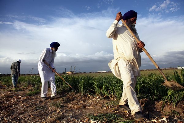 garden-slide-xzpa-slide1 (62K)