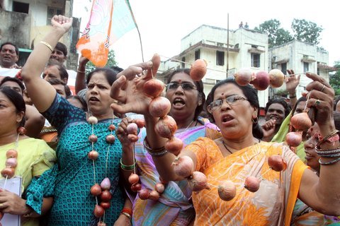 21-bjp-protest-IndiaInk-blog480 (53K)