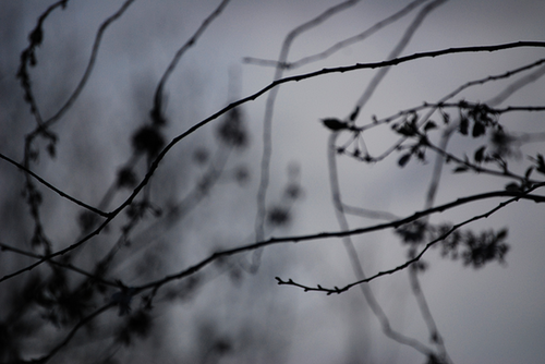 tumblr_inline_ms9syqm1Hm1qz4rgp (819K)