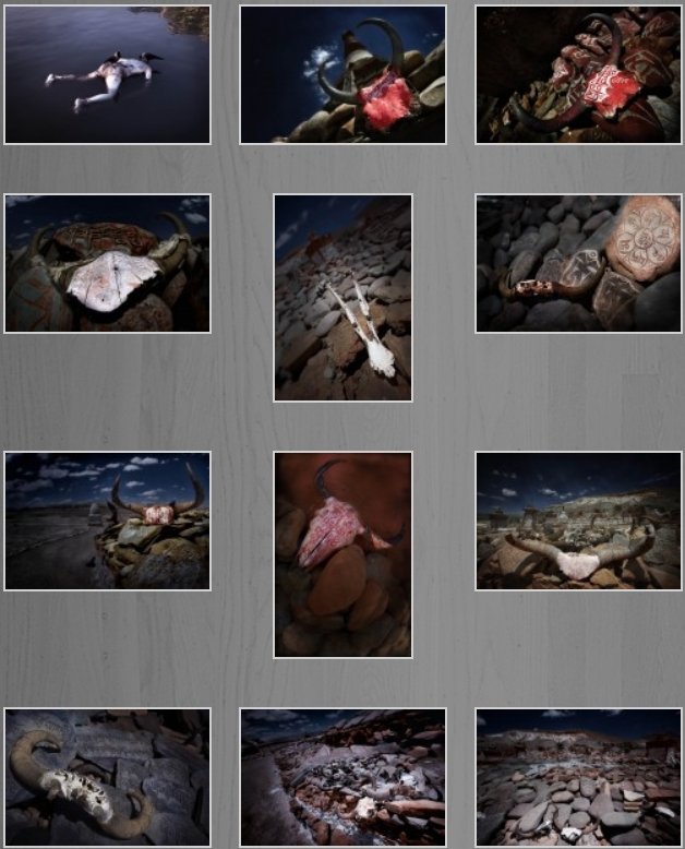 photos (278K)