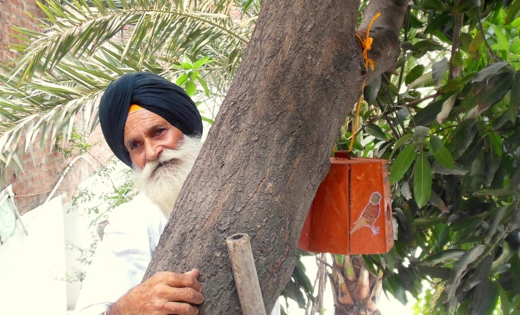 Dara-Singh (440K)