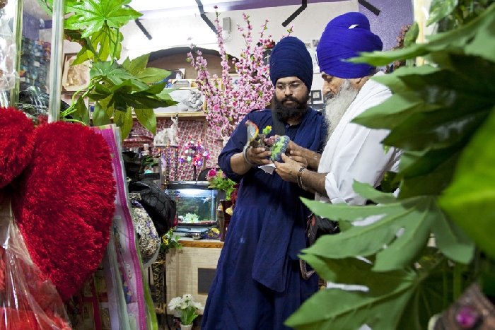 Damandeep-IMG_9175 (301K)