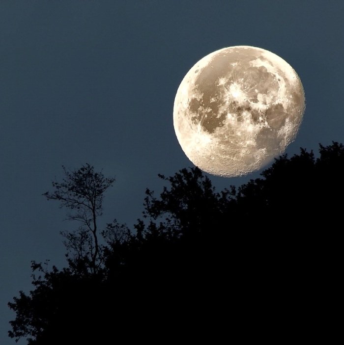 Moon (83K)