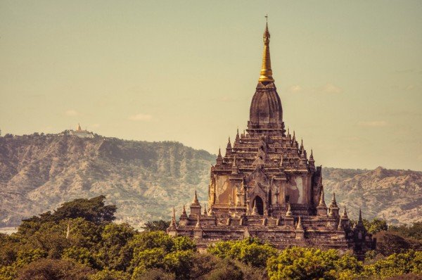 janssen-600x398 (64K)