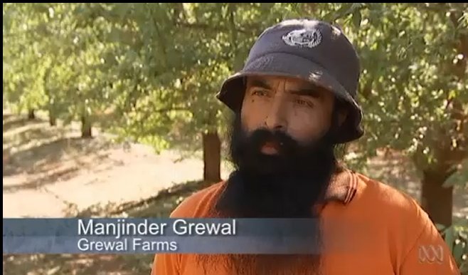 ManjinderGrewal (53K)