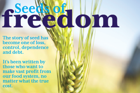seeds_freedom (222K)