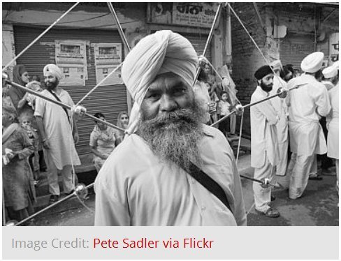 Image-PeterSadler (50K)