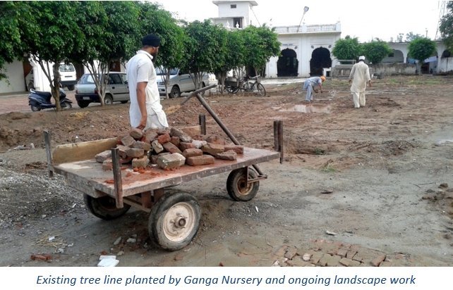 ExistingTreeLine (81K)