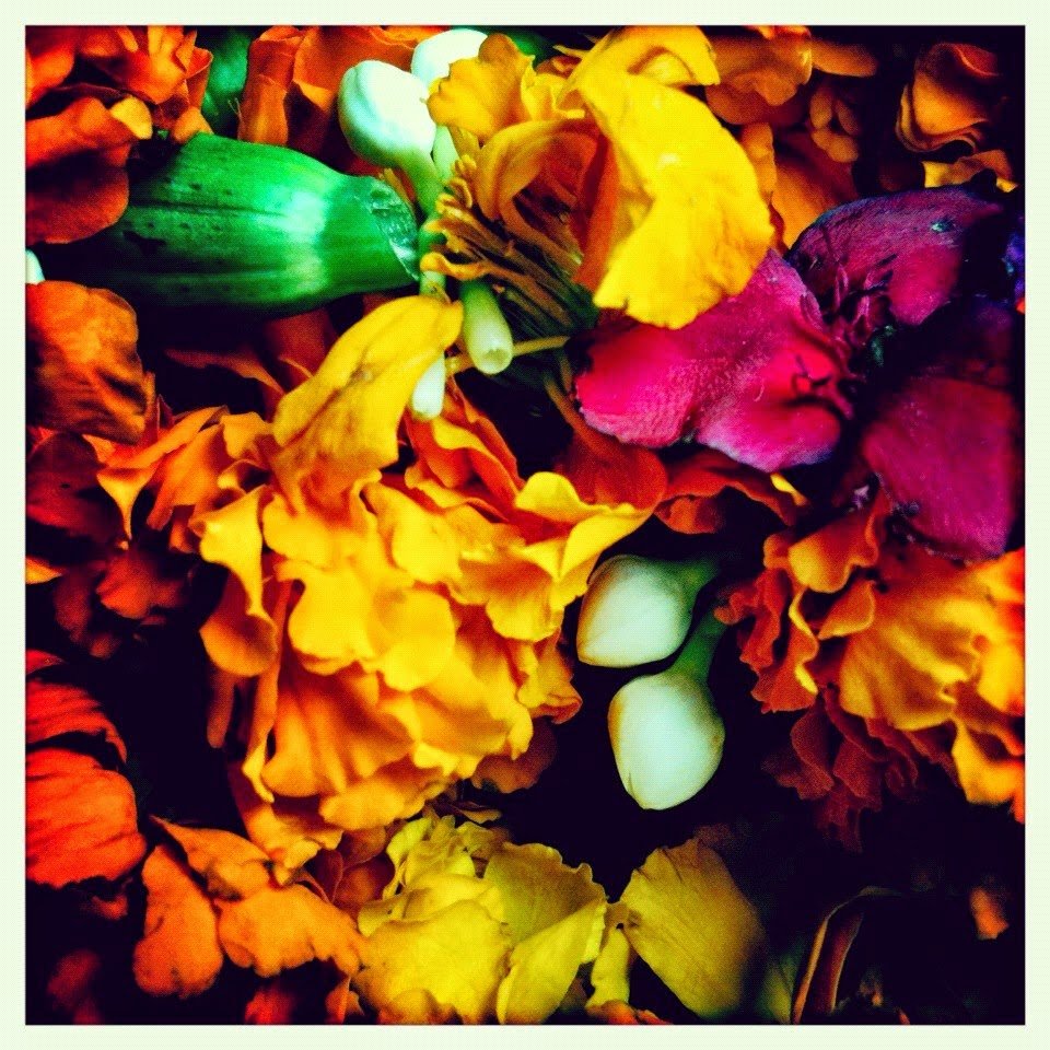 296059_10151212100320619_871722002_n (217K)