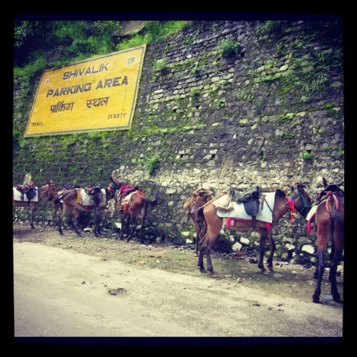 523705_10151245336590619_414642325_n (182K)