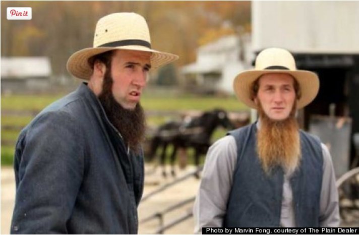 AnabaptistBeard (47K)