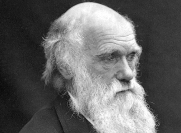 CharlesDarwin (37K)