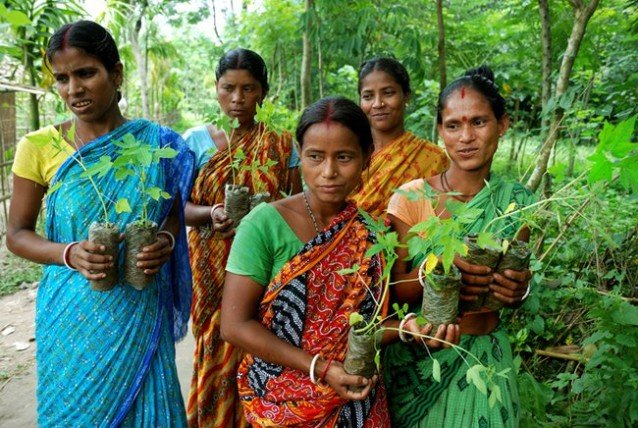 Women-with-saplings-West-Bengal-India.650x0_q85_crop-smart-638x428.jpg (118K)