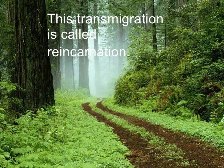 reincarnation-5-728 (205K)
