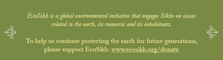 EcoSupport (21K)