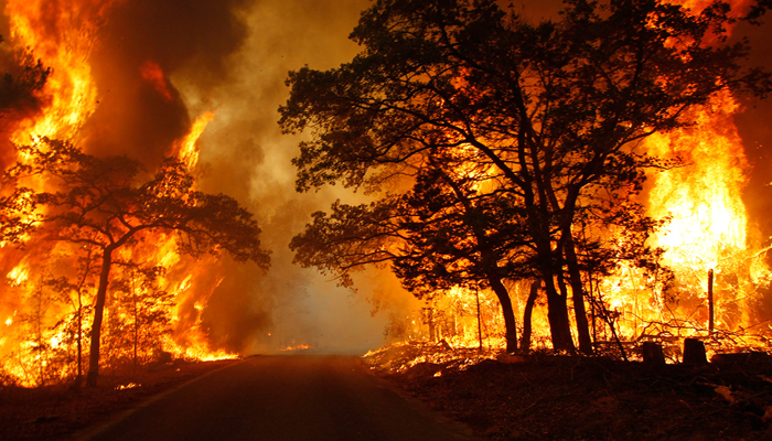 RagingFire (505K)
