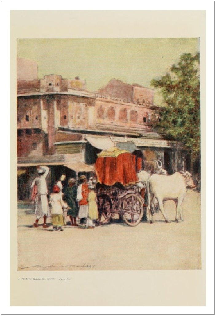 BullockCart (341K)