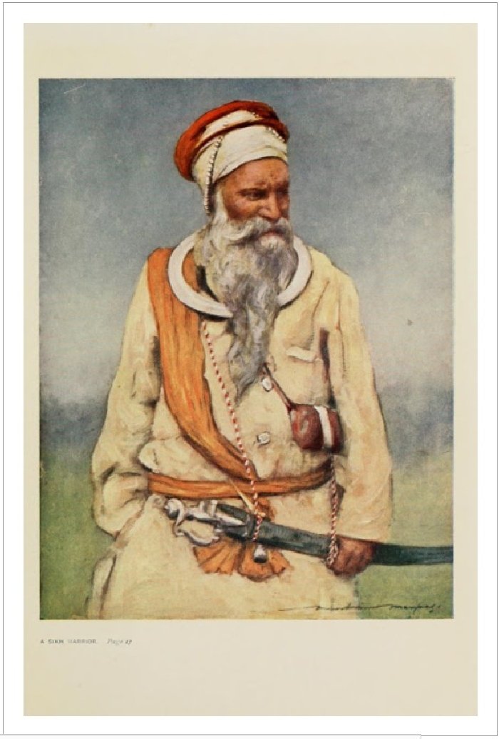 SikhWarrior (324K)
