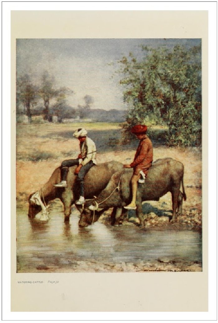 WateringCattle (369K)