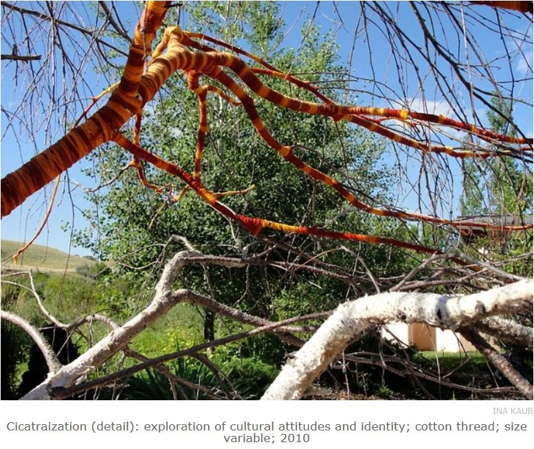 Cicatraization (267K)