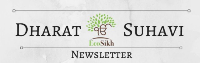 DharatSuhaviNws (24K)