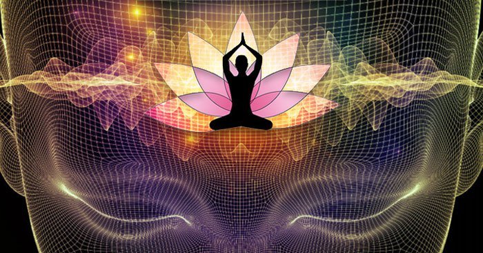 YogaBrainMeditation (89K)