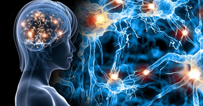 science-behind-yoga_chemicals (88K)