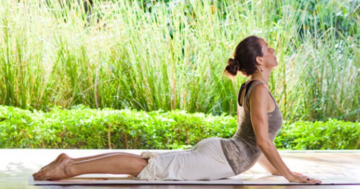 science-behind-yoga_grass (87K)