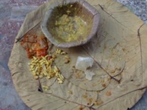  EcoSikh Calls for Eco-Friendly Nagar Kirtans