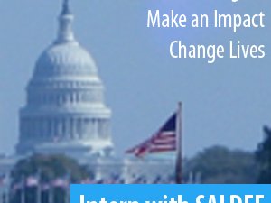 Saldef Internship