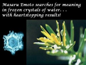 RaindropsnCrystals