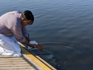 ashes scattering site Cardiff