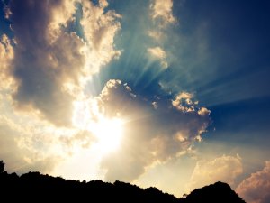 Connecting with Creation