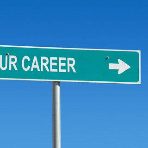 Doctor, Lawyer, Indian Chief?