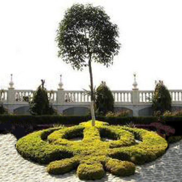 Hymns to Nature At the Golden Temple | SikhNet