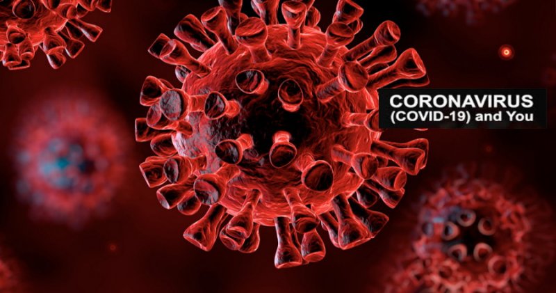 COVID 19 Coronavirus Preparedness and Tips SikhNet COVID 19 Coronavirus Preparedness and Tips SikhNet
