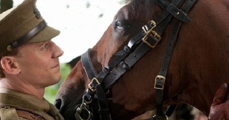 the real war horse history the real war horse history