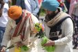 Sikh American Tradition of Resilience